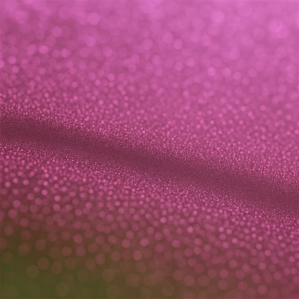 LashTrip™ - New York Feeling